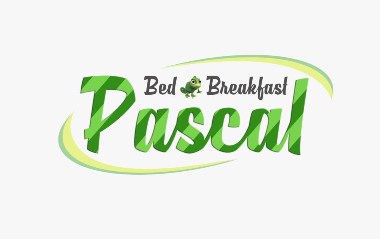 B&B Pascal 卡利亚里 外观 照片